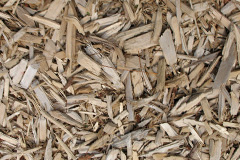biomass boilers Trecenydd