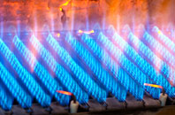 Trecenydd gas fired boilers